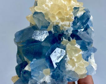May include: A cluster of blue and yellow crystals. The blue crystals are large and angular, with a glassy appearance. The yellow crystals are smaller and clustered together at the top. The crystals are set against a light gray background.