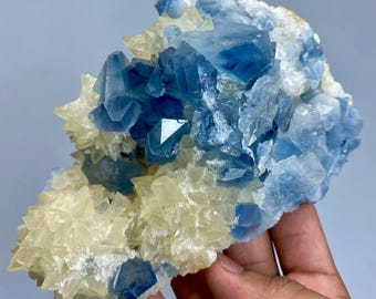 May include: A cluster of blue and yellow crystals. The blue crystals are a deep, saturated color, while the yellow crystals are a pale, creamy hue. The crystals are clustered together, creating a textured and visually interesting display.