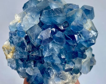 May include: A cluster of blue celestite crystals. The crystals are a deep, saturated blue color with sharp, well-defined edges. The crystals are clustered together, forming a dense, textured mass. The base of the cluster is a light tan color.