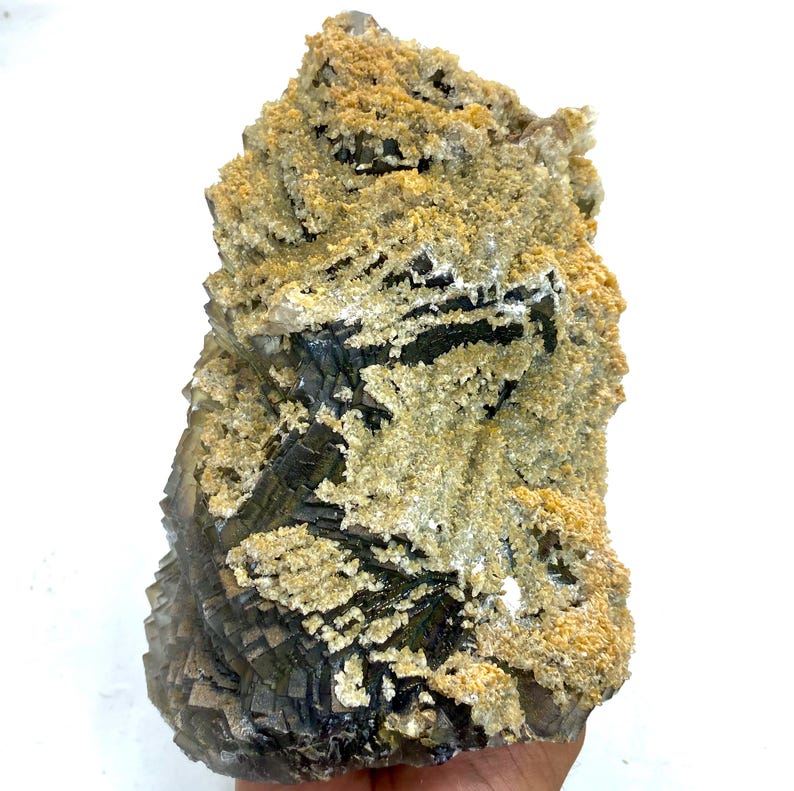 May include: A natural mineral specimen featuring a layered, dark gray and black base with a textured, light tan and white coating. The rough-hewn surface displays a crystalline structure, suitable for display or collection.