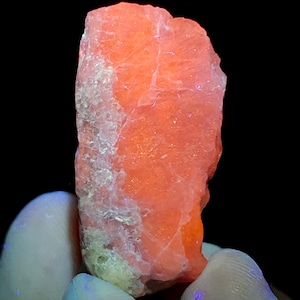 May include: A vibrant, rough-cut mineral specimen, predominantly salmon-pink with areas of white and subtle blue fluorescence. The rock is held against a black background, showcasing its natural texture and color variations.