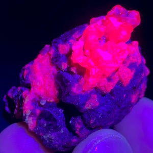 May include: A rough mineral specimen exhibiting intense fluorescent properties under ultraviolet light. The rock features a dark, deep purple base with prominent, jagged crystalline clusters that glow in a vibrant, neon pink color.