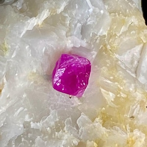 May include: A vibrant, deep magenta-coloured crystal with a distinct cubic shape embedded within a larger, translucent white and pale yellow mineral matrix. The central crystal features sharp, faceted edges and a glossy, reflective surface texture.