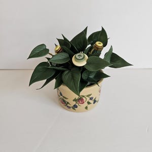 May include: A small potted plant with dark green leaves and decorative buttons. The beige pot is adorned with a floral pattern in pink and blue. The buttons have a light green center and a beige border.
