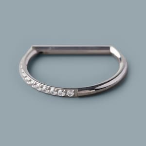 16G Hinged Segment Ring D Shape Half Side CZ Paved in Silver 16G/1.2mm/Conch/Septum/Nose/Helix/Daith/Earlobe/Lobe/Cute/Gift for Her