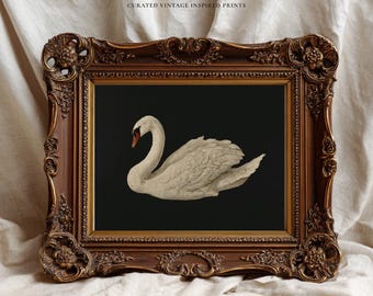 May include: A framed print featuring a white swan with a red beak against a dark background. The print is displayed in an ornate, brown, vintage-style frame. The text "PAPERMUSE PUBLISHING CURATED VINTAGE INSPIRED PRINTS" is at the top.