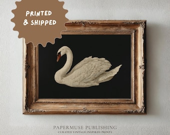 May include: A framed print of a white swan with a red beak on a black backdrop, set within an ornate, gold-coloured frame. The print is labelled "Papermuse Publishing" with the text "Curated Vintage Inspired Prints". The image has a vintage aesthetic.