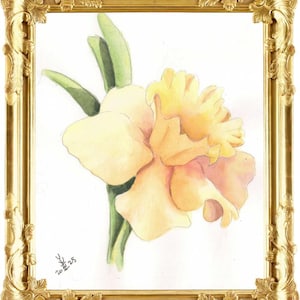 Goldene Blüte – Original Aquarell Malerei Narzisse | 8 x 7 Zoll große botanische Wandkunst (Rahmen nicht enthalten)