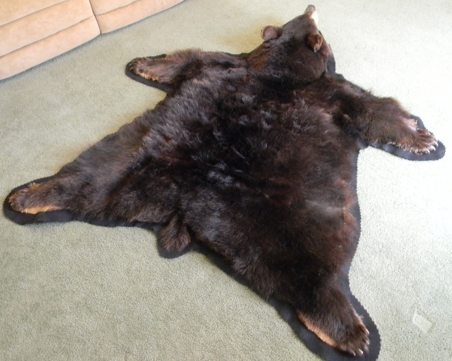 Bear skin rug Private sale for JASON Etsy