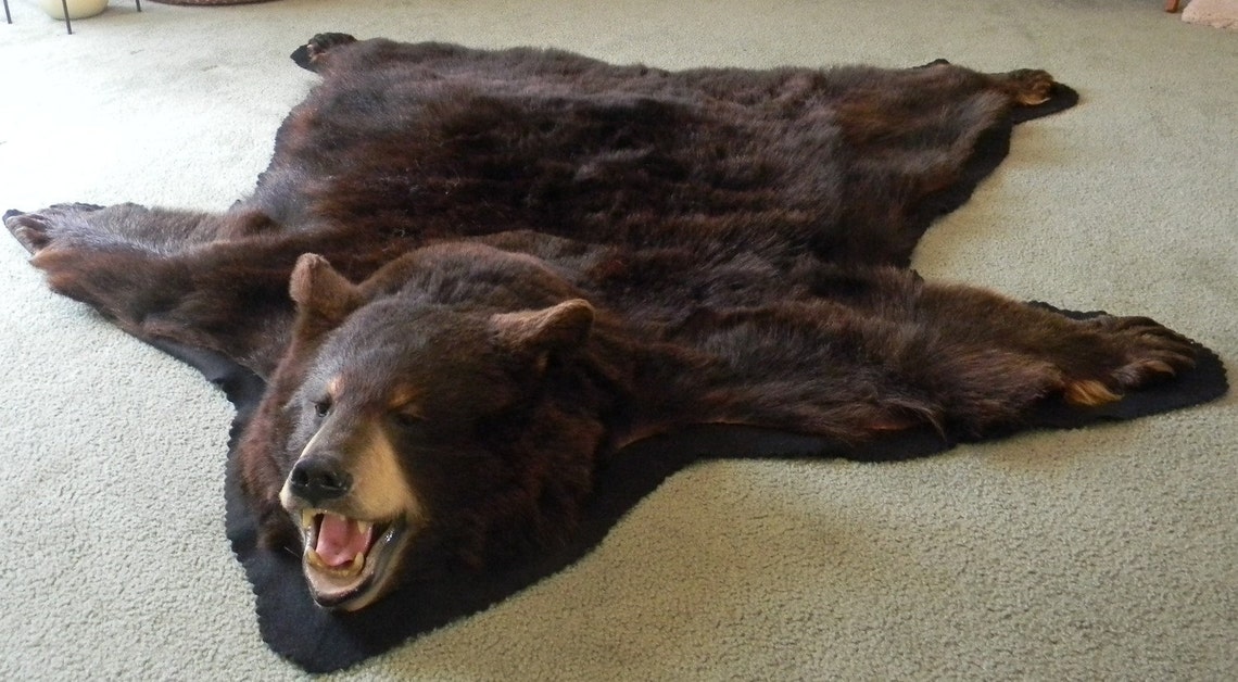 Bear skin rug Private sale for JASON Etsy