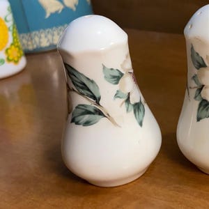 May include: White ceramic salt and pepper shakers with a floral design. The shakers have a bulbous shape and are decorated with green leaves and white flowers. The background includes a blue container with white figures.
