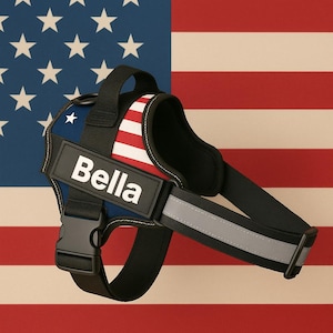 Personalized dog harness. Suitable for small and large dogs. The perfect accessory for their walks.