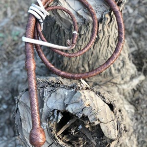Può includere: Una lunga frusta in pelle intrecciata marrone dotata di un manico arrotondato con un nodo alla base e un laccio in pelle bianca avvolto attorno alla sezione superiore. La frusta è avvolta in forma circolare, mostrando la complessa trama.