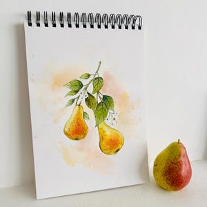 Original Pears Watercolor Painting: Kitchen Fruit Art (21x29cm)