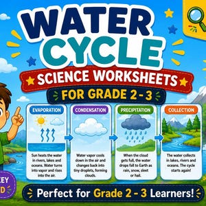 Water Cycle Worksheets Grade 2-3| Science Printable Activity Pack| 10 Worksheets + Answer Key| Homeschool Classroom| Instant Download PDF