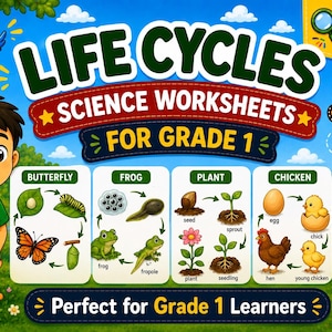May include: Educational science worksheet set for grade 1 students titled Life Cycles Science Worksheets. The graphic features illustrations of butterfly, frog, plant, and chicken life cycles, a cartoon child, a puppy, and a blue bird.