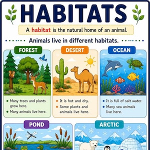Habitats Classroom Poster| Science Grade 1 Poster |Animal Habitats Anchor Chart| Elementary Science Decor | Instant Download Printable PDF