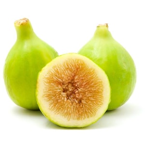 Kadota | Honey fig| Fig Tree Cuttings – 30cm | Green Skin, Golden Flesh | Twice Fruiting | Organic EU only