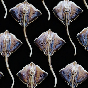 K&ouml;nnte beinhalten: Ein sich wiederholendes Muster aus Keramik-Stechrochen-Skulpturen. Jede Skulptur hat einen braunen und blau get&ouml;nten K&ouml;rper mit einem wei&szlig;en Schwanz. Die Rochen sind vor einem schwarzen Hintergrund angeordnet.