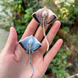K&ouml;nnte beinhalten: Zwei Keramik-Stachelrochen-Figuren. Einer ist braun und beige, der andere blau und wei&szlig;. Beide haben eine detaillierte Unterseite und einen langen, gebogenen Schwanz. Die Figuren werden in einer Hand vor einem verschwommenen gr&uuml;nen Hintergrund gehalten.