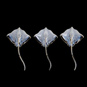 K&ouml;nnte beinhalten: Drei durchscheinende Skulpturen von Mantarochen in Blau- und Wei&szlig;t&ouml;nen vor schwarzem Hintergrund. Jede Skulptur hat einen detaillierten K&ouml;rper und einen langen, gebogenen Schwanz, der Bewegung und Meeresleben suggeriert.