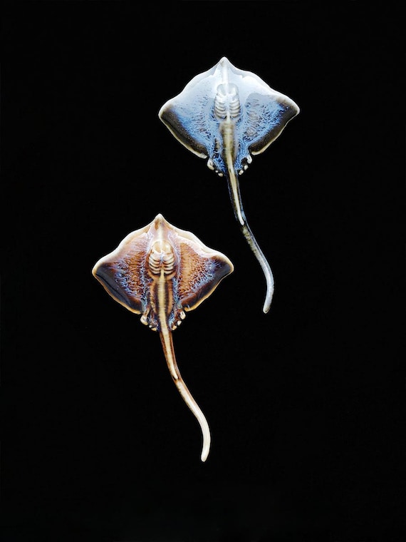 Ceramic Stingray Brooch Ocean Inspired Hand Glazed Jewelry Pin