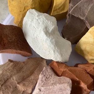 May include: A selection of raw clay pieces in shades of yellow, white, brown, and red. The chunks have irregular shapes and textures, indicating natural origins. The clay is displayed on a white surface, with a variety of tones.