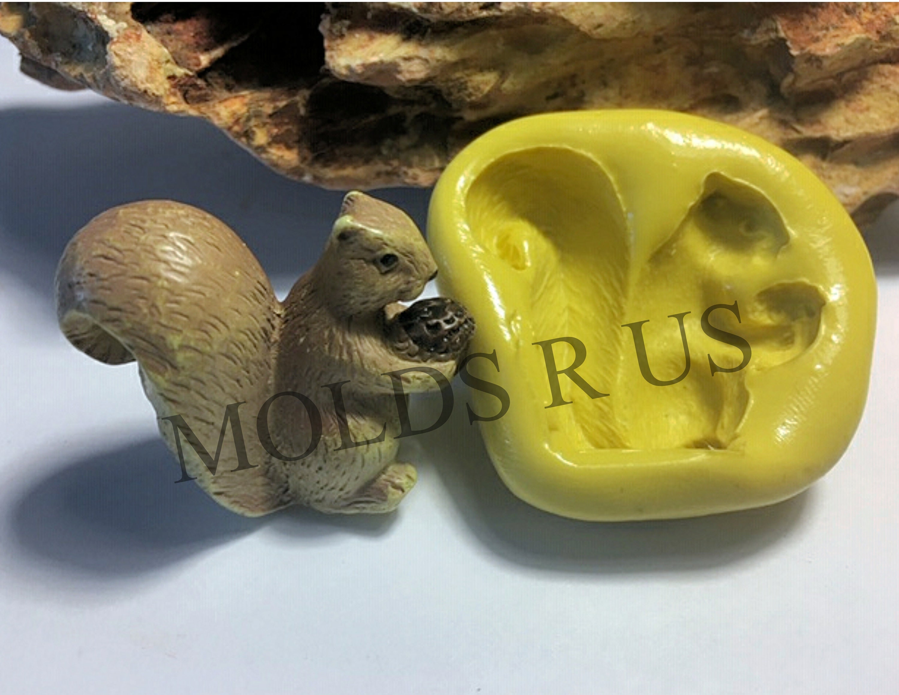 リスの剥製 北海道 帯広 エゾリス 剥製 - メルカリ