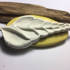 May include: White silicone mold of a seashell with a detailed, intricate design. The mold is on a yellow silicone mat.