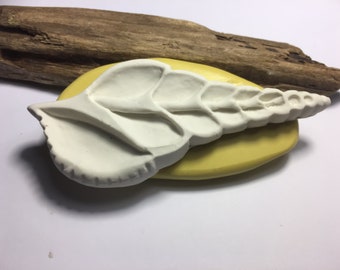 Seashell silicone Flexible mold