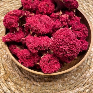 Organic Dried Pomegranate Flowers: Herbal Tea, Akyaka Turkey