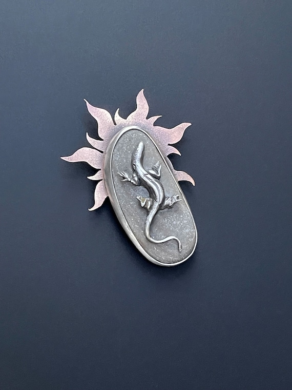 Lizard sunning on beach stone
