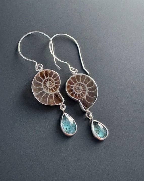 Ammonite earrings with teal moss kyanite