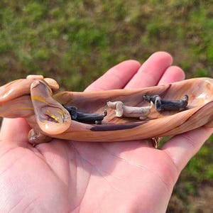 Puede incluir: Un plato de madera artesanal con forma de perro salchicha con tres figuras de perro salchicha en miniatura en su interior. El plato es de madera marrón claro con un acabado brillante, y los perritos son negros, blancos y beige. Sostenido en una mano.