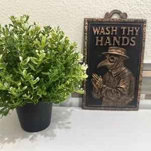 May include: A small, round, green and white plant in a black pot sits next to a decorative plaque. The plaque features a plague doctor image and the words "WASH THY HANDS" in a vintage style.