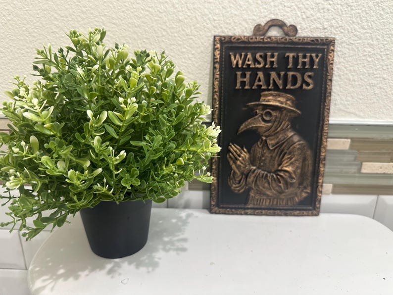 May include: A small, round, green and white plant in a black pot sits next to a decorative plaque. The plaque features a plague doctor image and the words "WASH THY HANDS" in a vintage style.