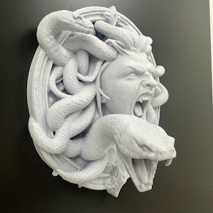 May include: A light gray Medusa wall sculpture with snakes for hair, open mouth, and detailed facial features. The sculpture is round and mounted on a black surface.