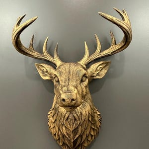 Puede incluir: Un detallado soporte de pared con cabeza de ciervo de color dorado. La escultura presenta intrincados detalles en las astas, la cara y el cuello, creando una apariencia realista y texturizada. La cabeza de ciervo está montada en una pared gris.