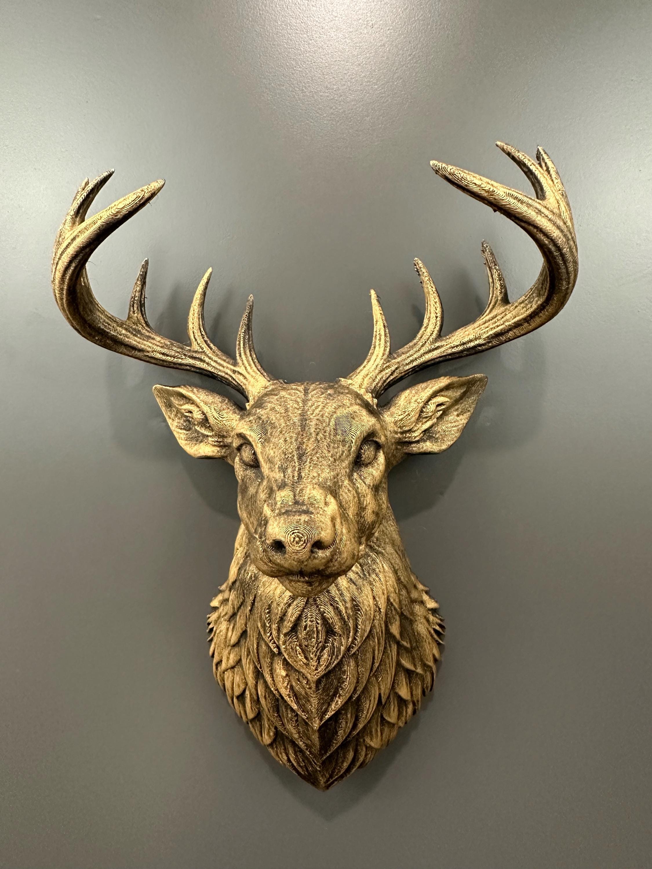 Taxidermy deer mount - Etsy 日本