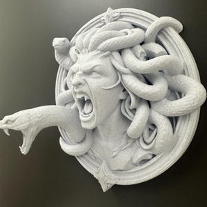 May include: A detailed, light gray sculpture of Medusa's head, featuring snakes for hair and an open mouth. The sculpture is mounted on a circular frame with decorative elements.