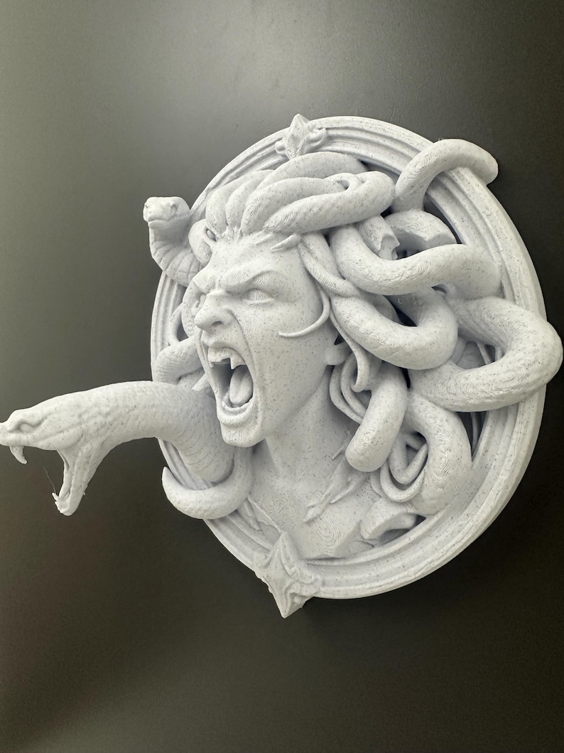 May include: A detailed, light gray sculpture of Medusa's head, featuring snakes for hair and an open mouth. The sculpture is mounted on a circular frame with decorative elements.