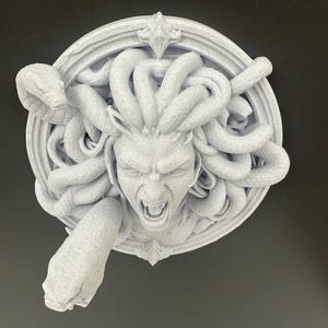 May include: A detailed, textured, white sculpture of Medusa's head, featuring snakes for hair and an open mouth. The sculpture is set within a circular frame with ornate detailing.
