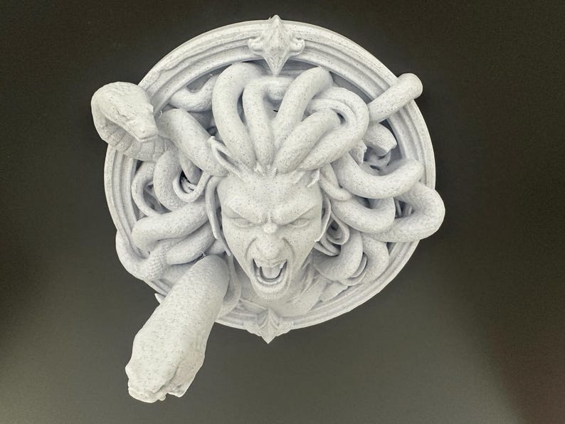 May include: A detailed, textured, white sculpture of Medusa's head, featuring snakes for hair and an open mouth. The sculpture is set within a circular frame with ornate detailing.