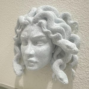 Puede incluir: Escultura de cabeza de Medusa blanca con rasgos faciales detallados y serpientes como cabello. La escultura está montada en una pared texturizada, mostrando el intrincado diseño y la textura de la obra de arte. Es una pieza decorativa.