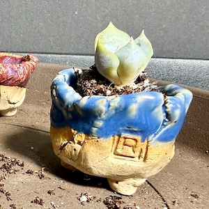 May include: A collection of small, handmade ceramic succulent pots in various colors and textures. The pots feature a unique design with a stamped letter "R" and are filled with soil, with one pot holding a small succulent plant.