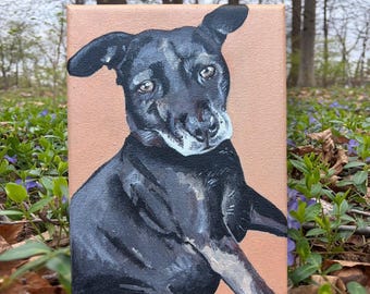Custom Pet Portraits