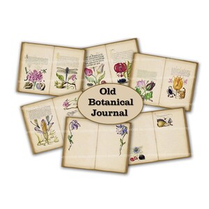 Old Botanical Junk Journal Kit, Flowers Plants Journal, Floral Printable Pack, Flower Ephemera, Digital DIY Junk Journal, Printable Download