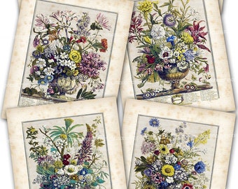 Twelve Months of Flowers, Printable Download Postcards Robert