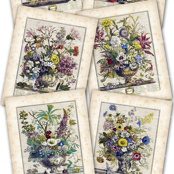 Twelve Months of Flowers, Printable Download Postcards Robert Furber 1730 Floral Diary Calendar Junk Journal Scrapbooking Ephemera