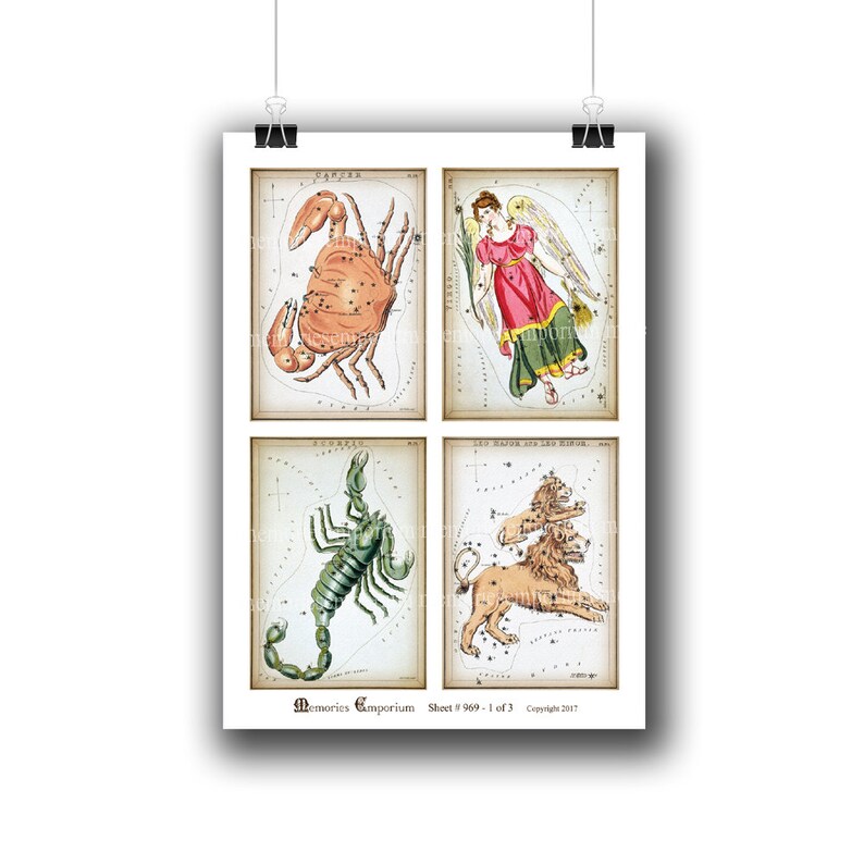 May include: A vintage illustration of four zodiac constellations: Cancer the crab, Virgo the virgin, Scorpio the scorpion, and Leo the lion. Each constellation is depicted with its corresponding astrological symbol and a star chart.